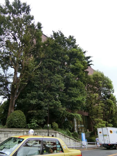 32芝公園ビル 御成門 神谷町 の空室情報 Officee