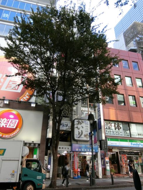 鈴井ビル 渋谷 神泉 の空室情報 Officee