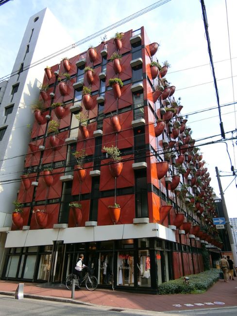 オーガニックビル 心斎橋 四ツ橋 の空室情報 Officee