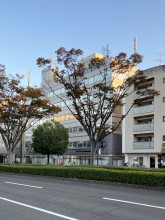 松栄宮城野ビルの外観