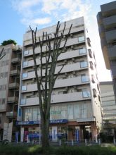 プリムローズセキグチの外観