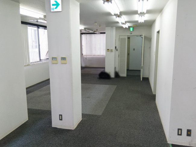 別角度の様子