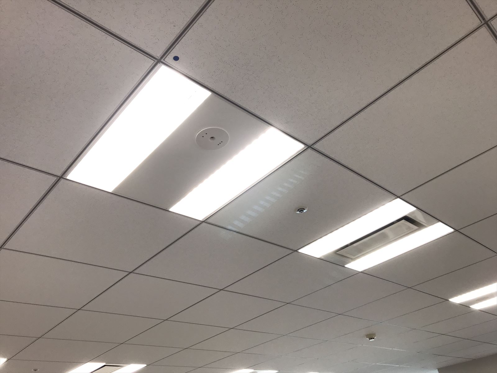 照明