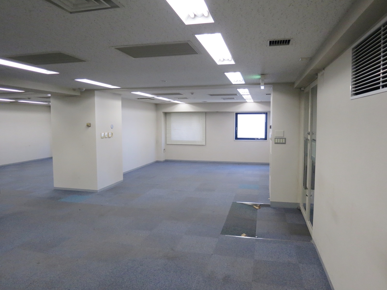 別角度の様子
