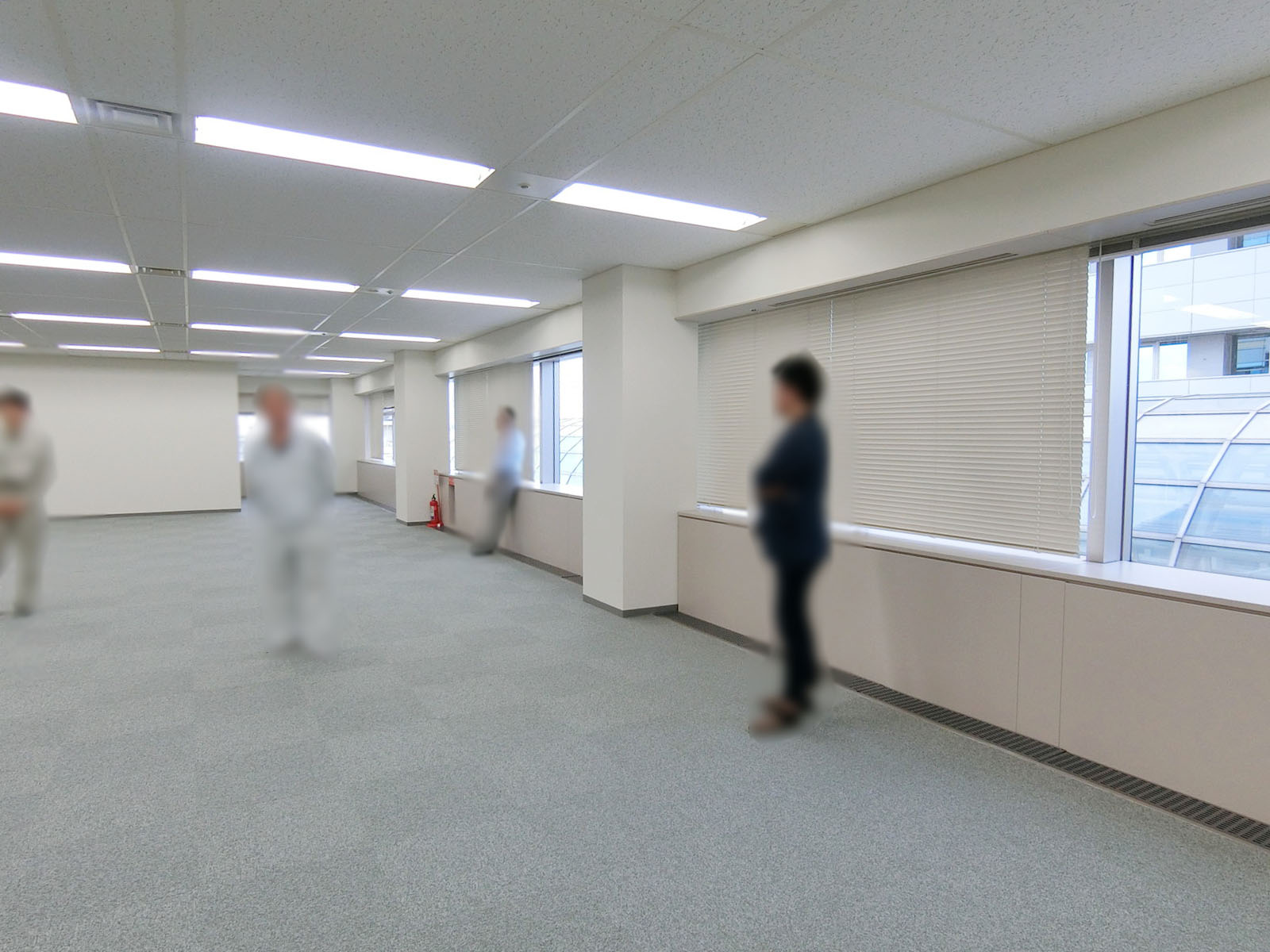 窓際の様子