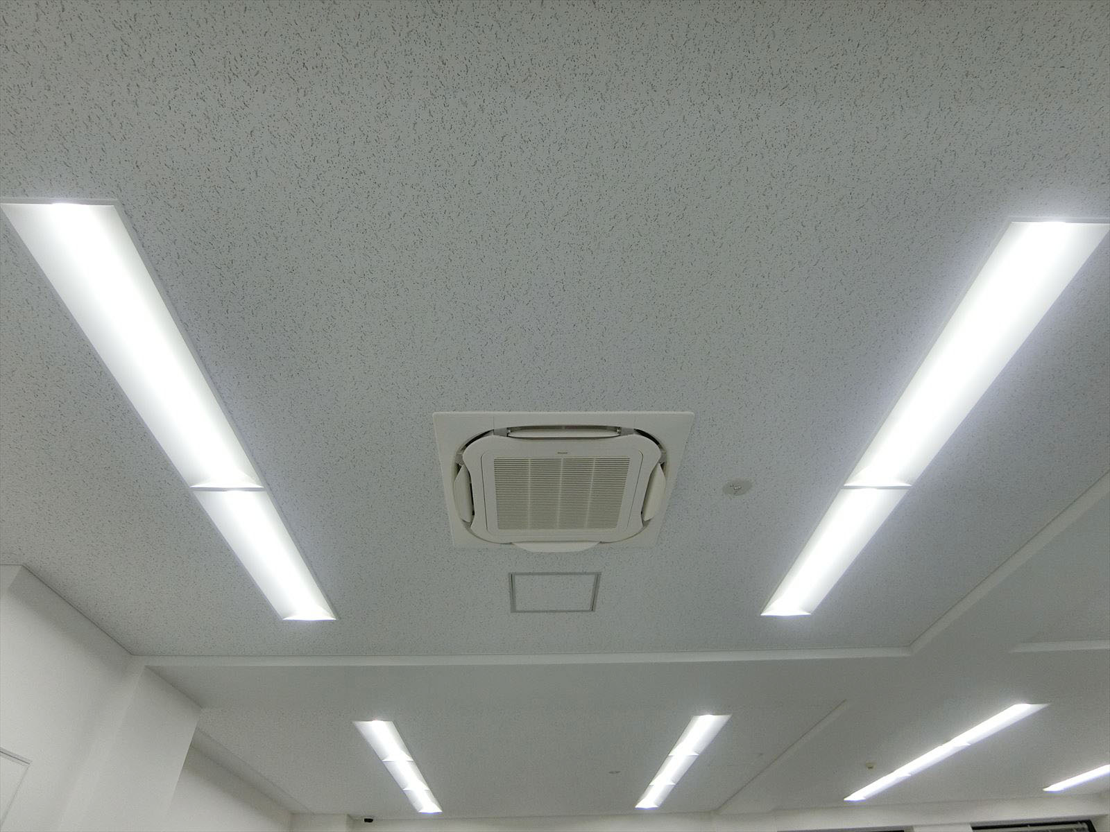 天井の様子
