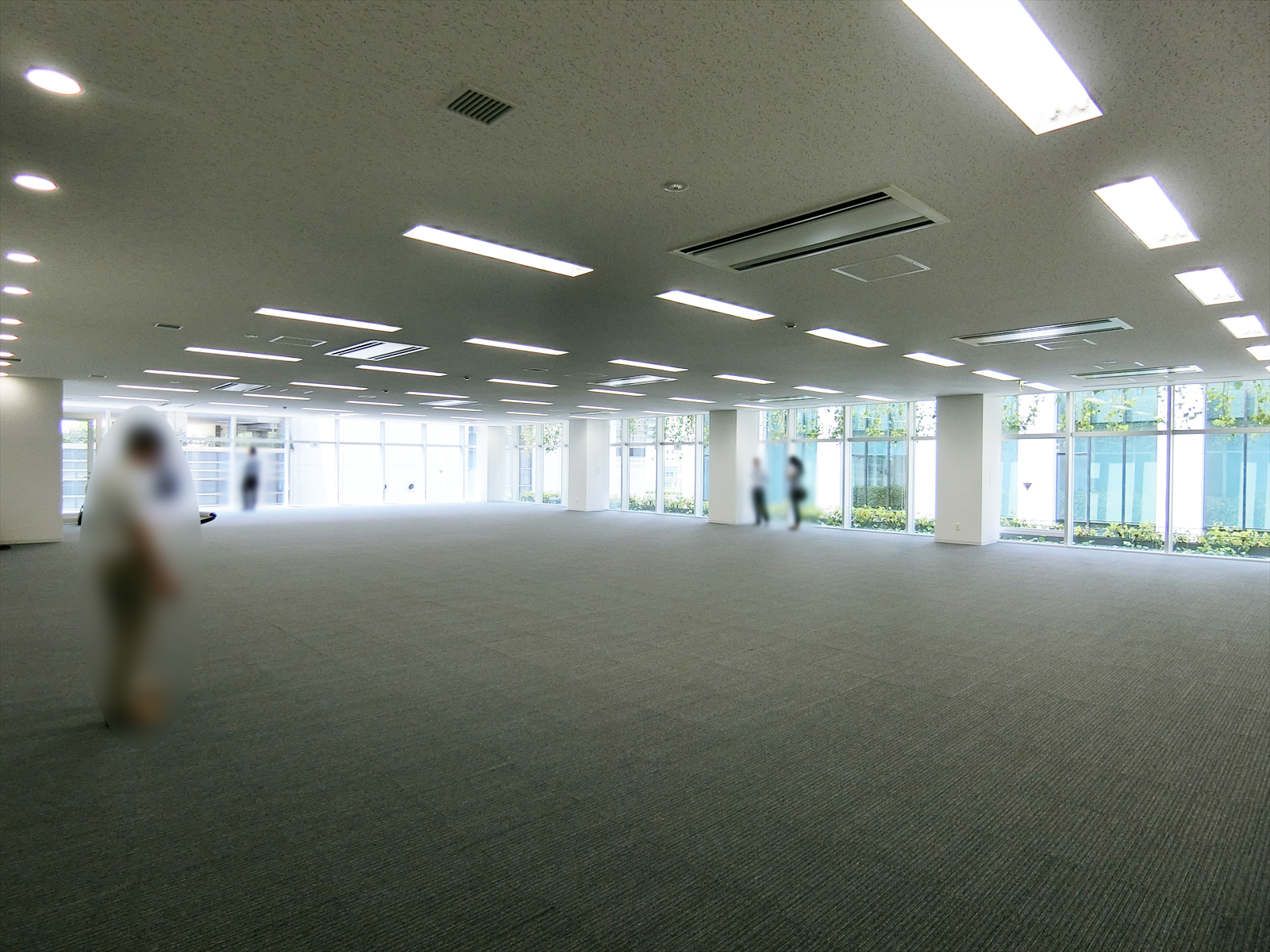 別角度の様子