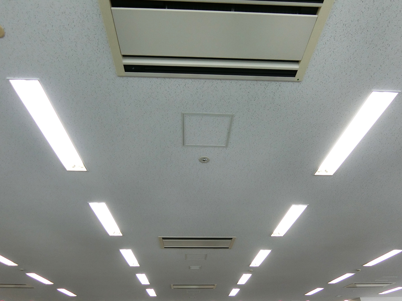 天井の様子