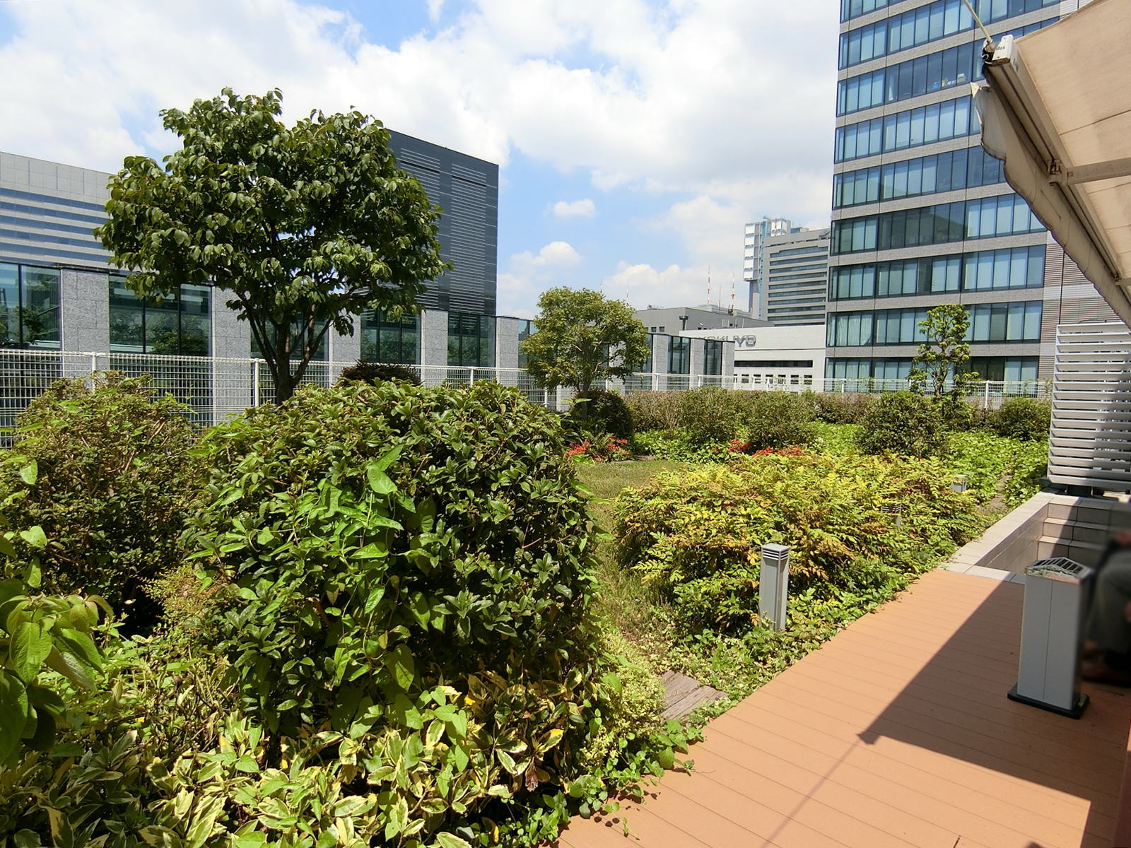 屋上庭園