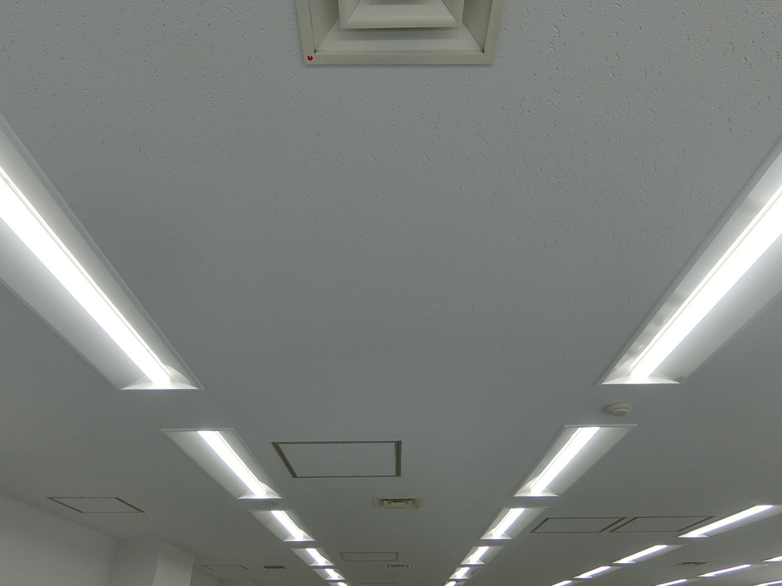 照明の様子