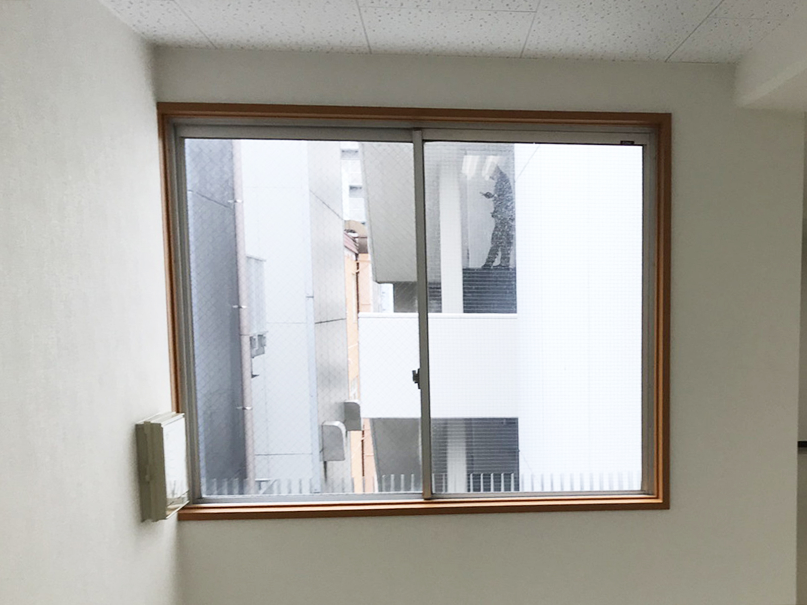 窓際の様子