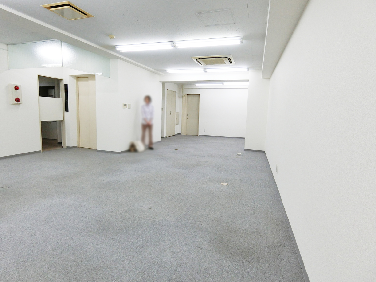 別角度の様子