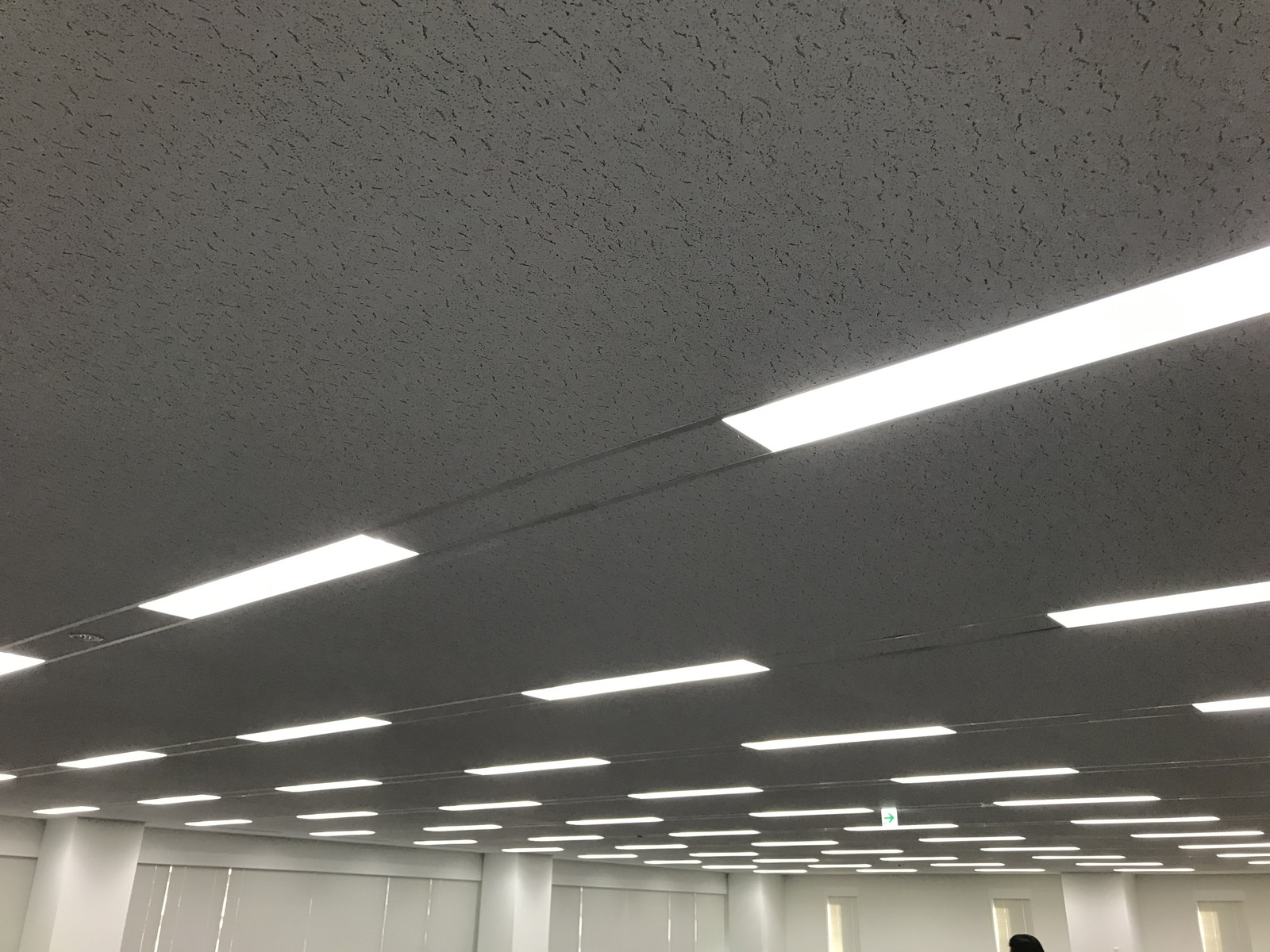 照明の様子