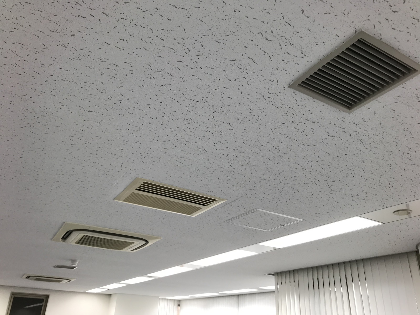 照明の様子