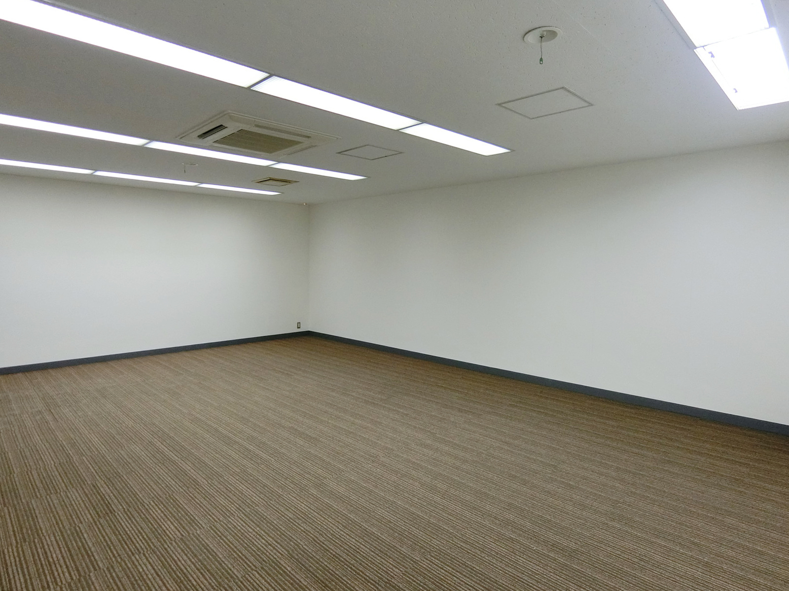 別角度の様子