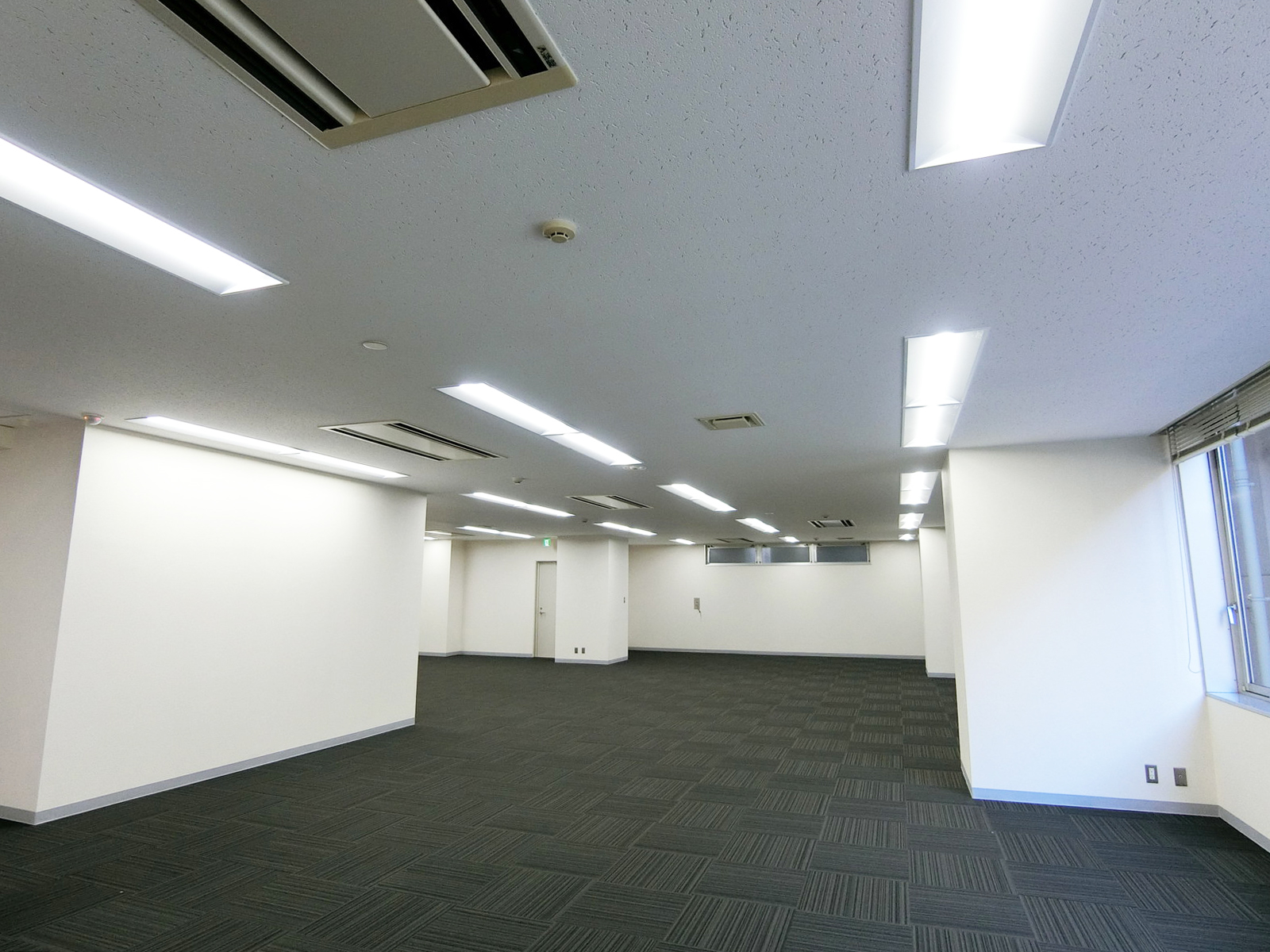 別角度の様子