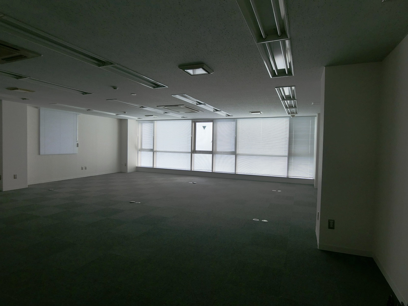 別角度の様子