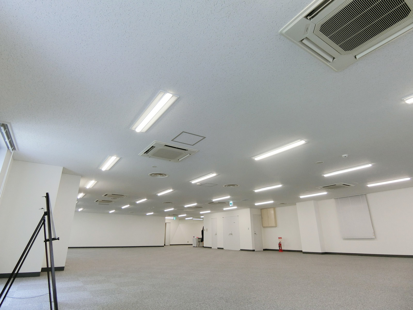 天井の様子