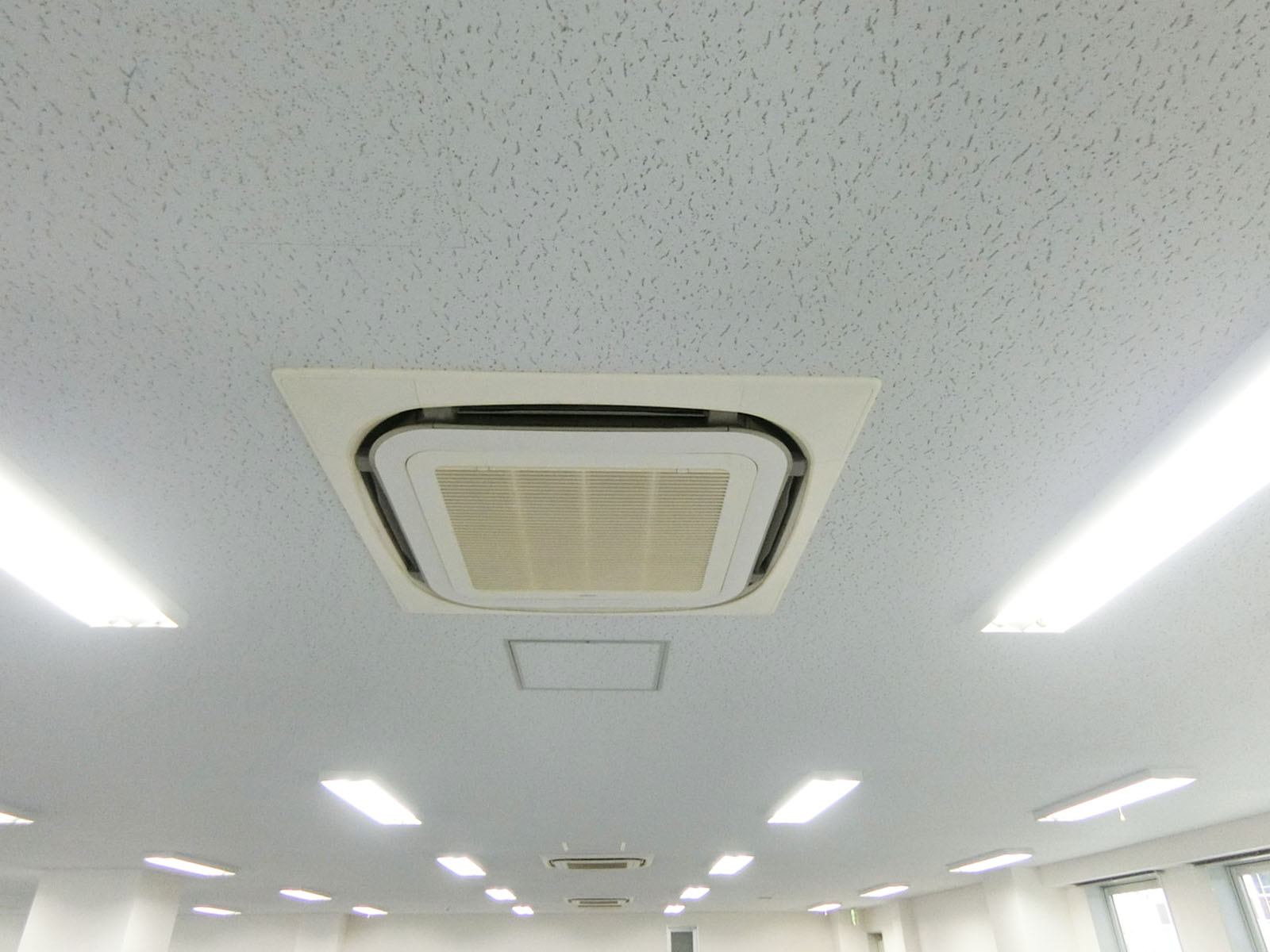 天井の様子