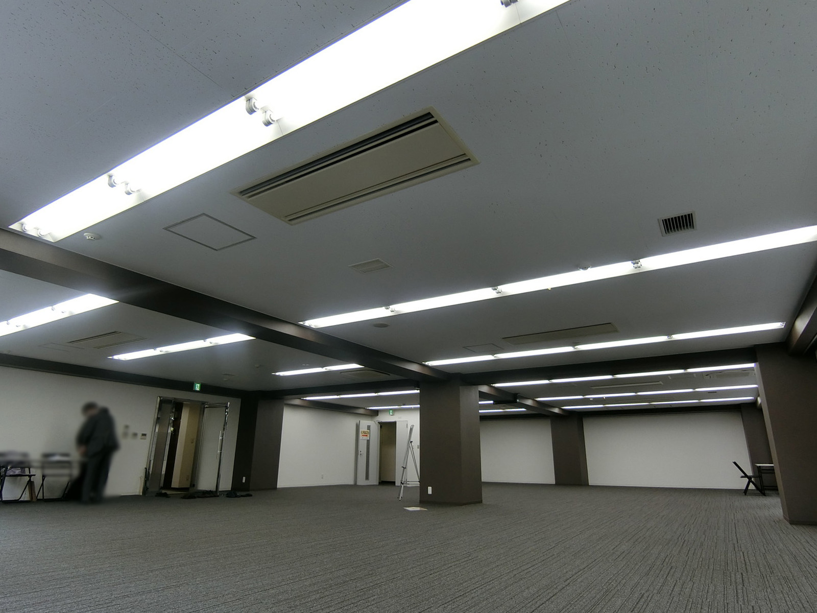 天井の様子