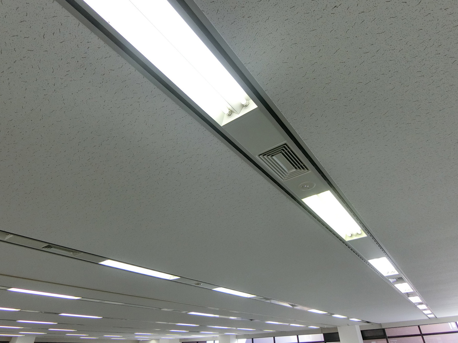 天井の様子