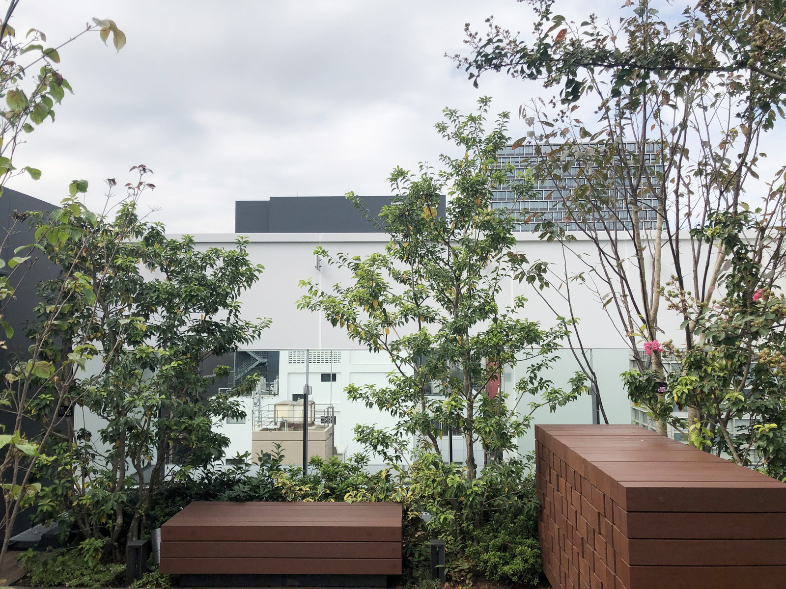 屋上庭園