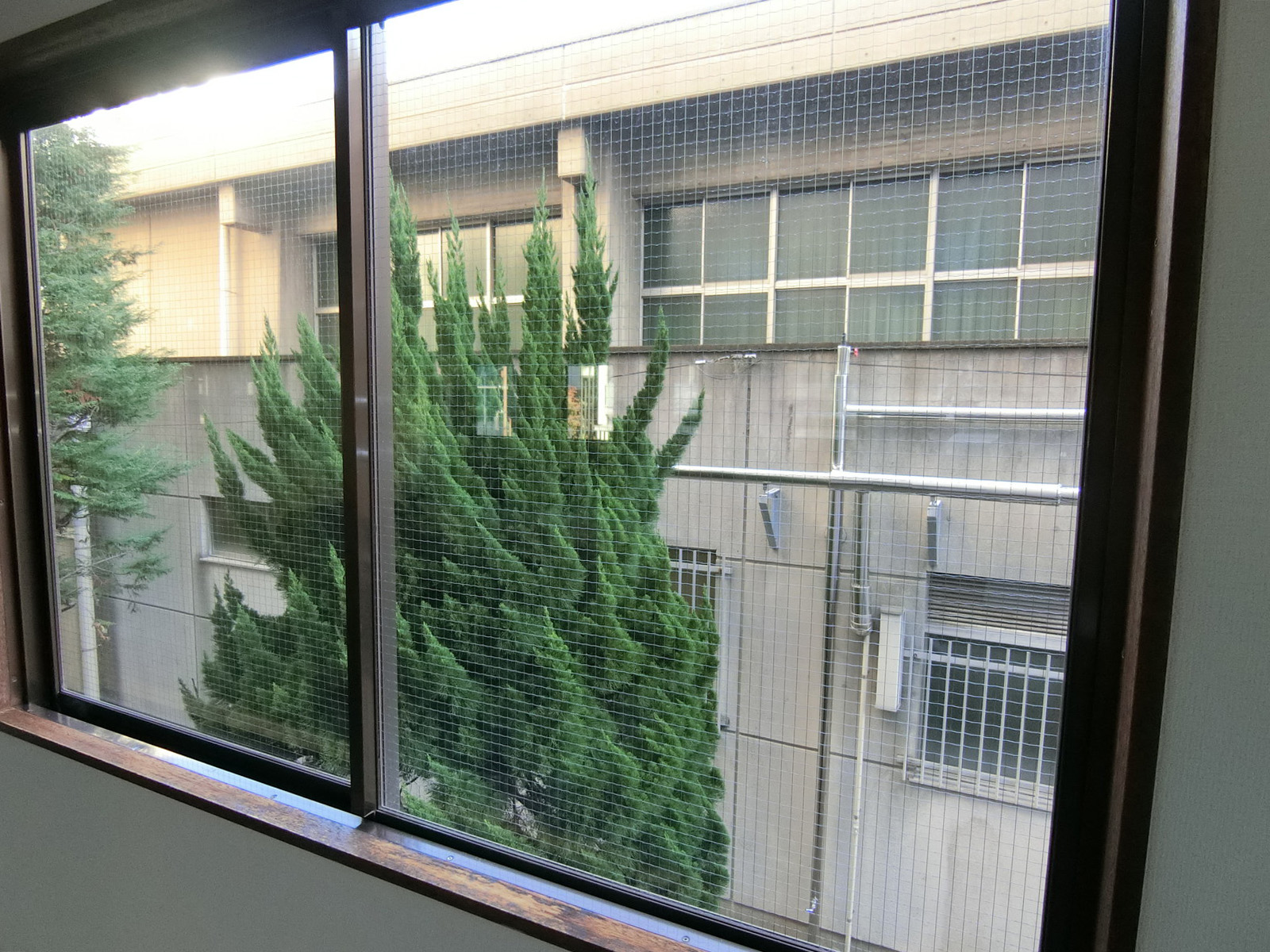 窓際の様子