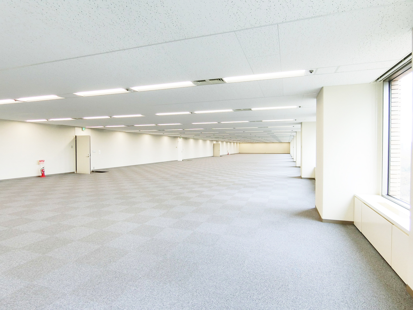 別角度の様子