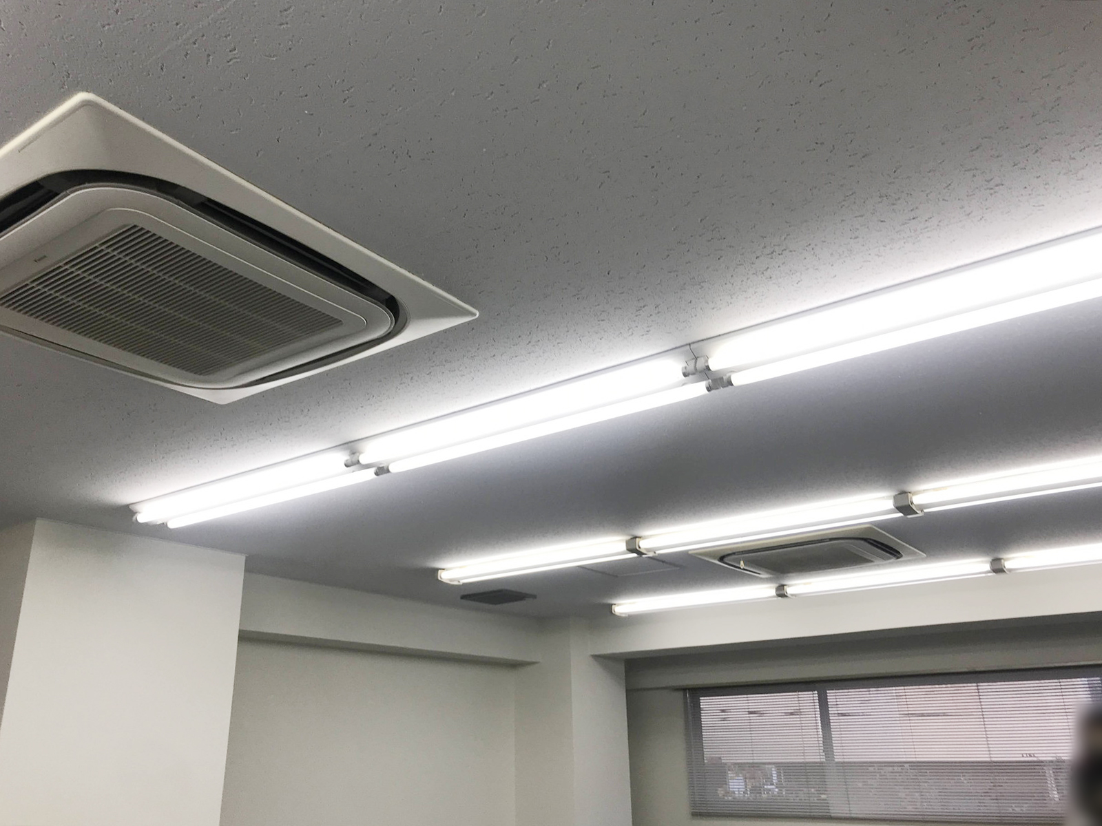 天井の様子