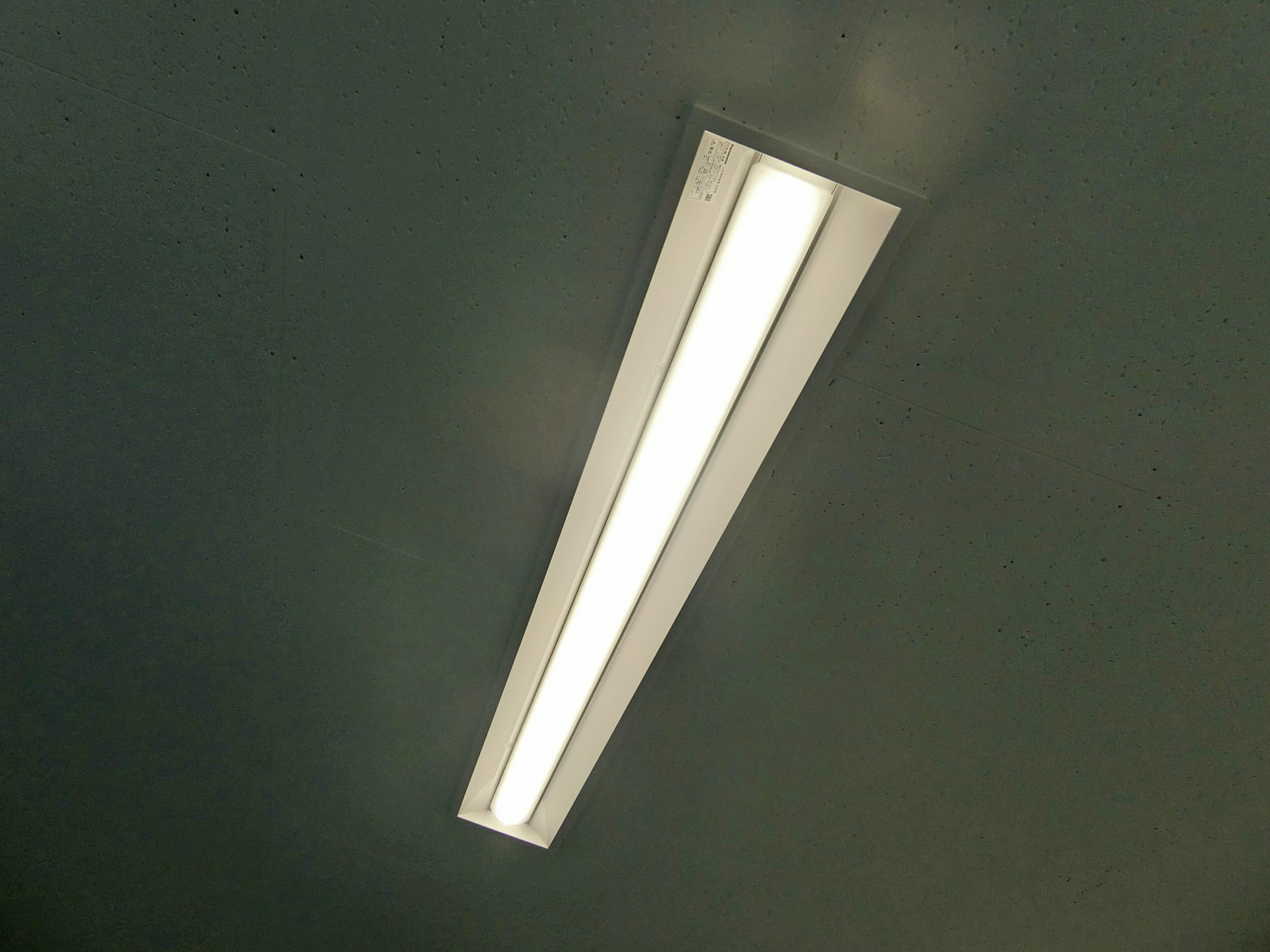 電灯