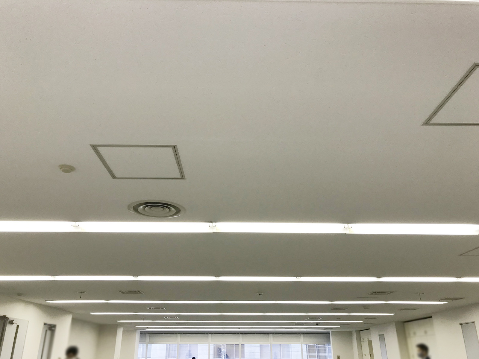 天井の様子