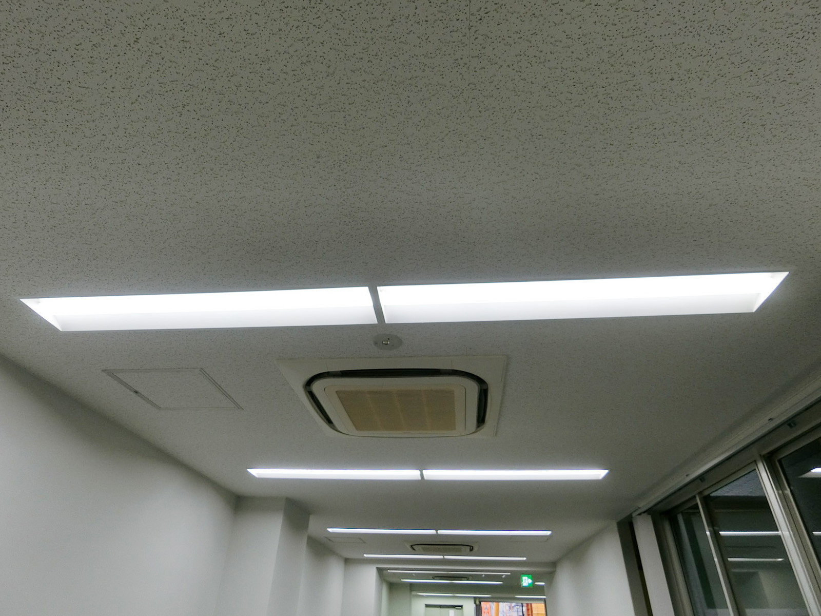 照明の様子