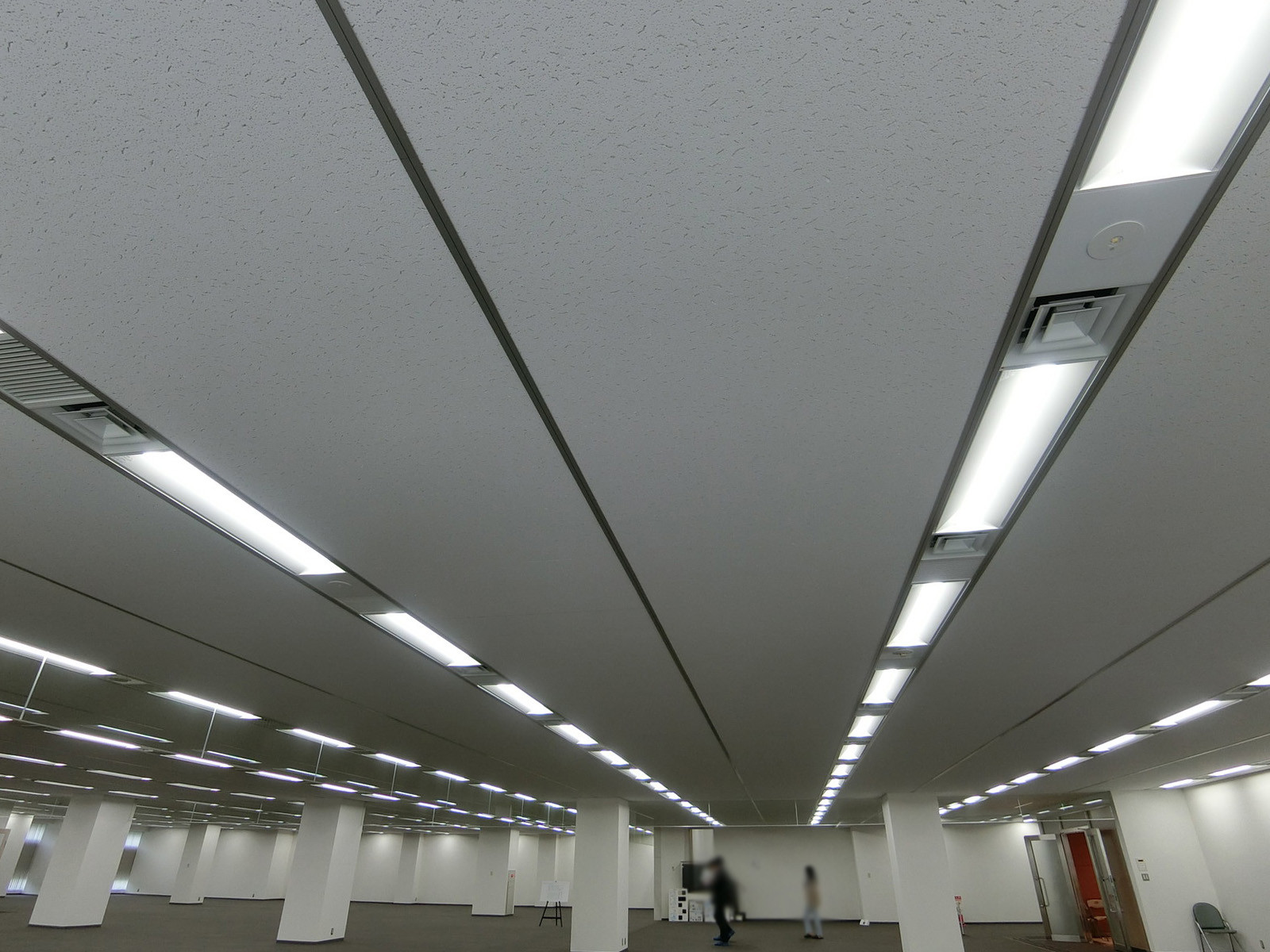 天井の様子