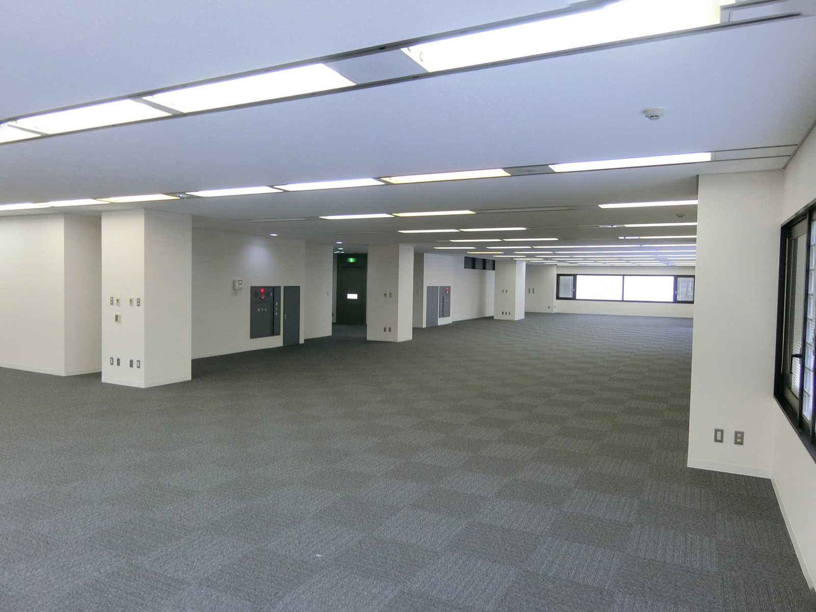 別角度の様子