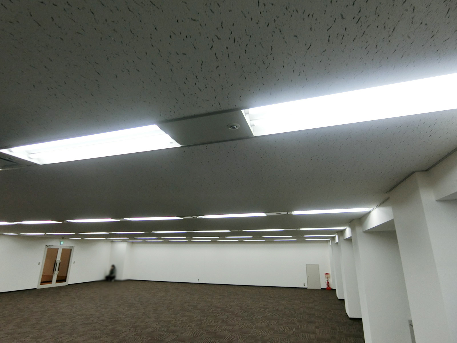 天井の様子
