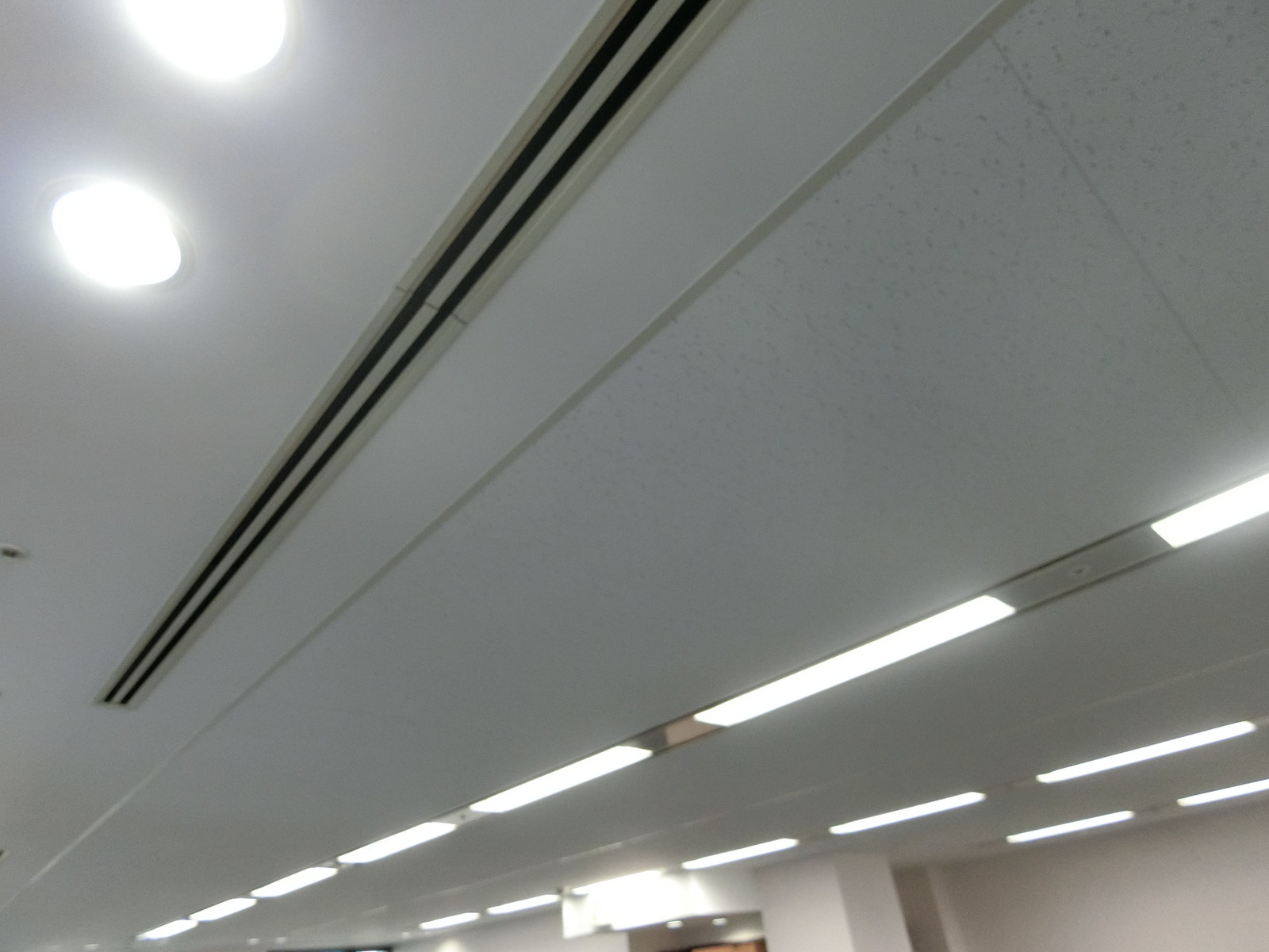 天井の様子