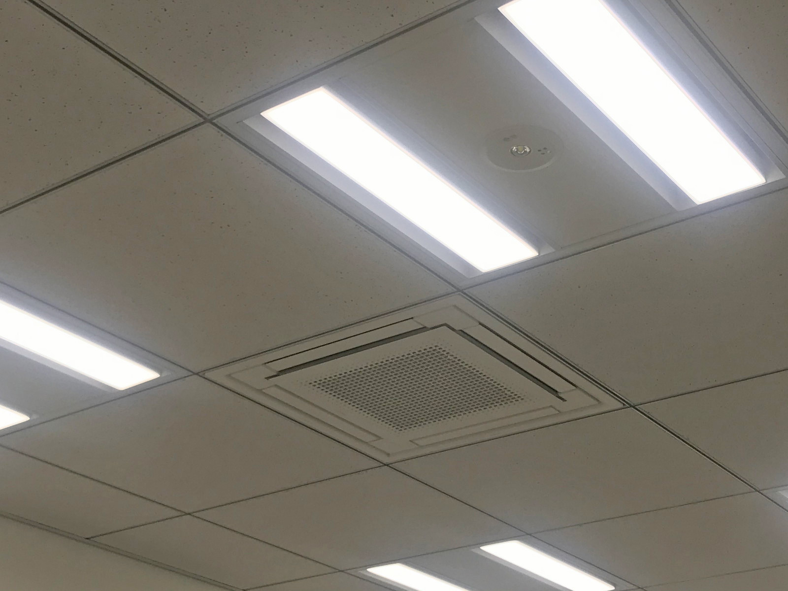 天井の様子