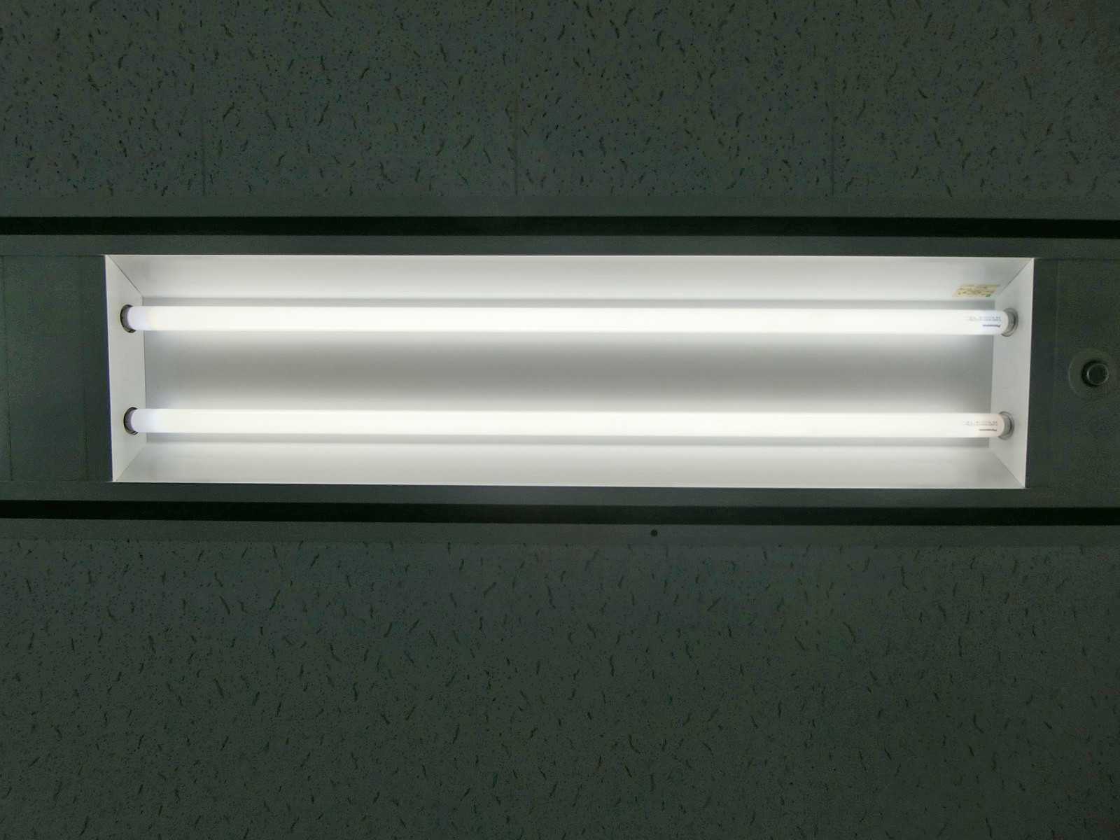 電灯