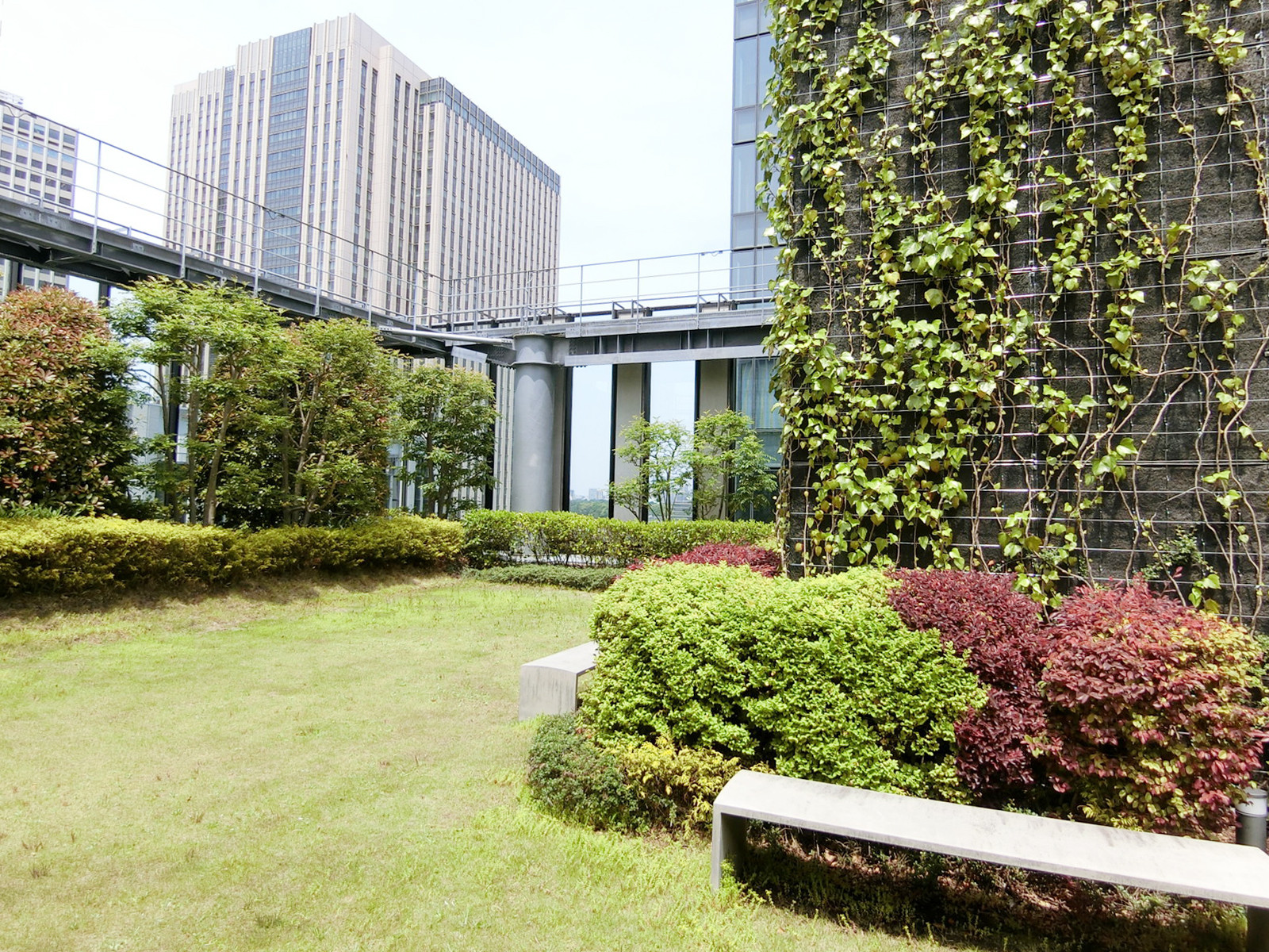 屋上の様子