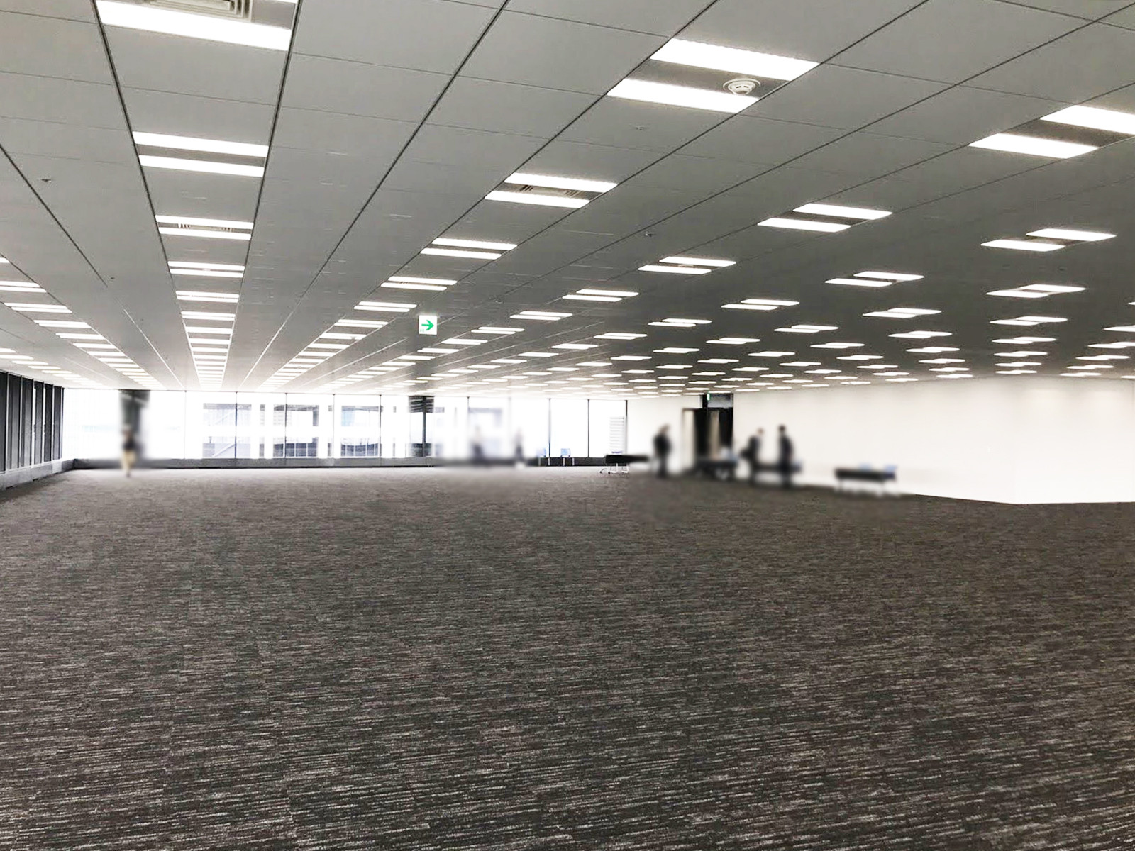 別角度の様子