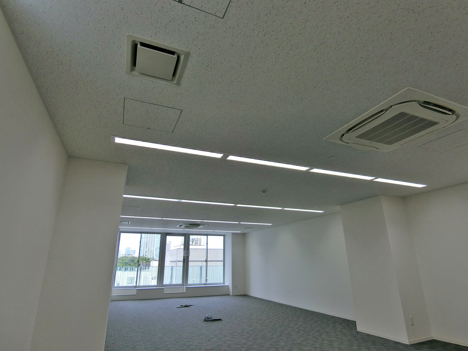天井の様子
