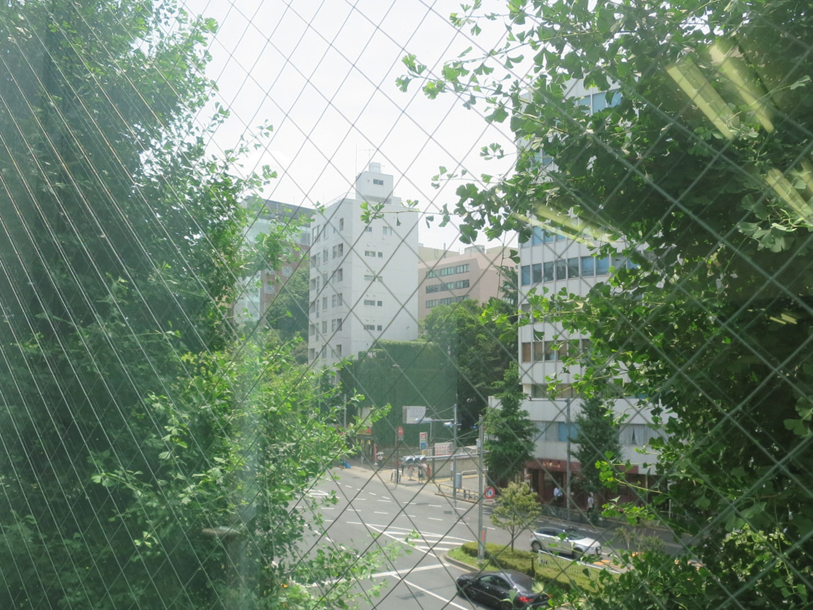 窓際の様子