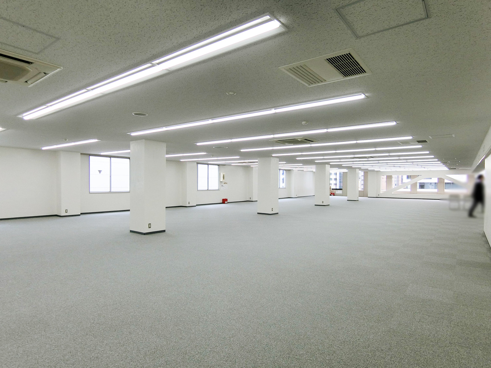 別角度の様子