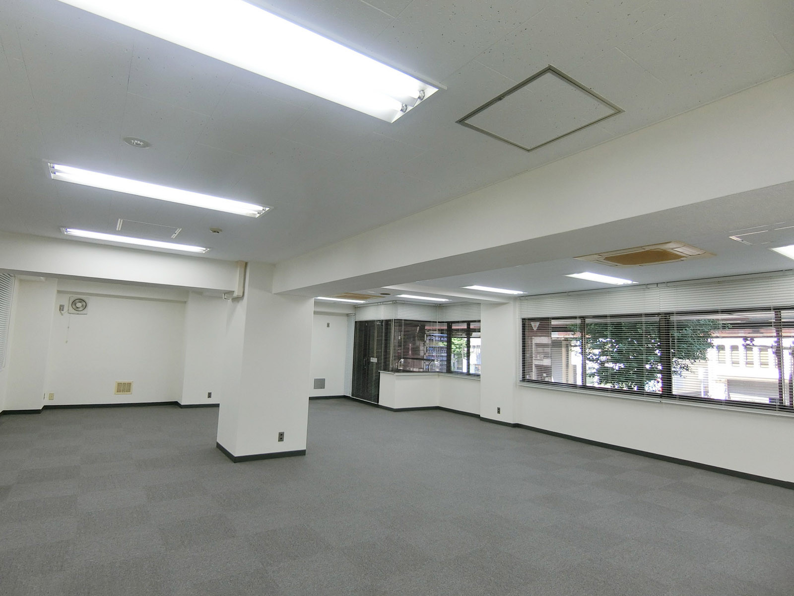 別角度の様子