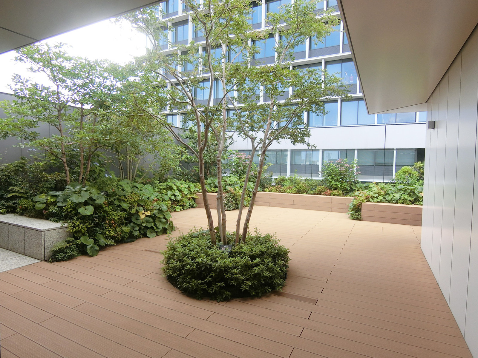 屋上の様子