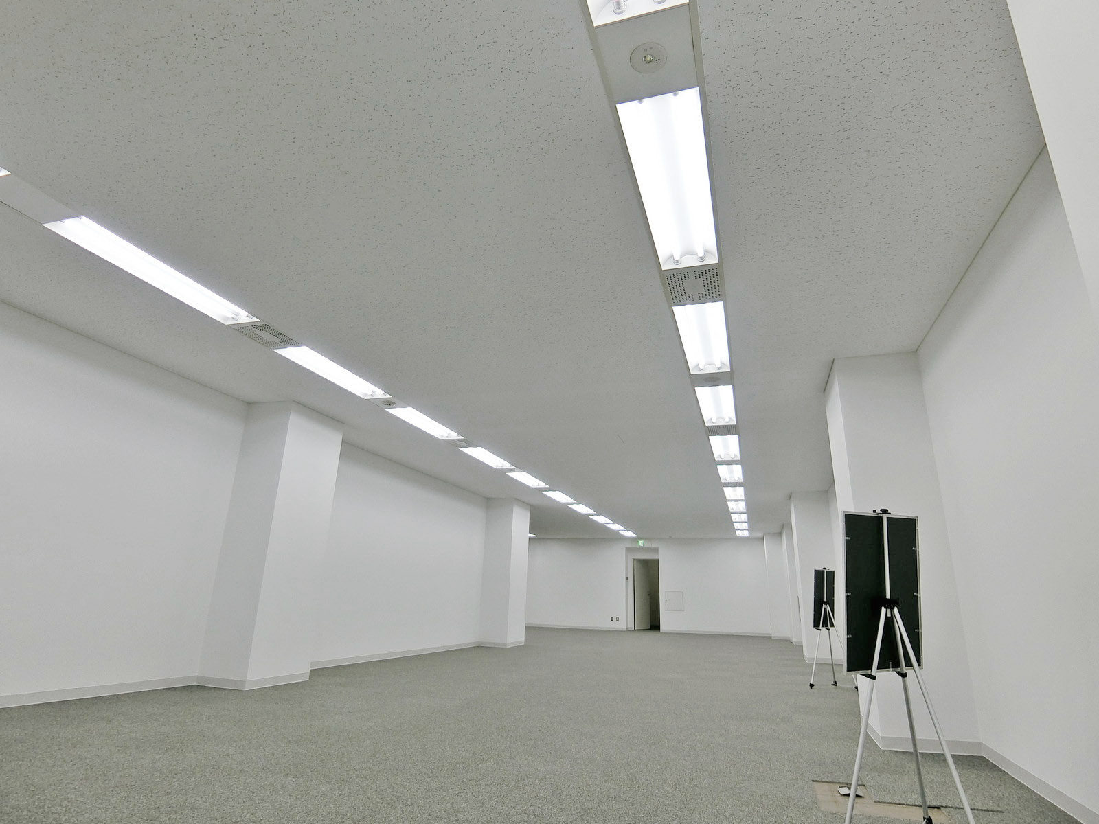 天井の様子