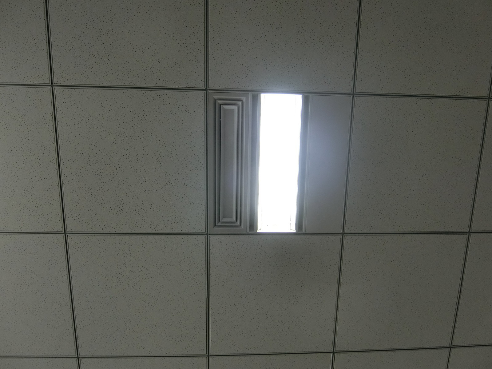 照明の様子