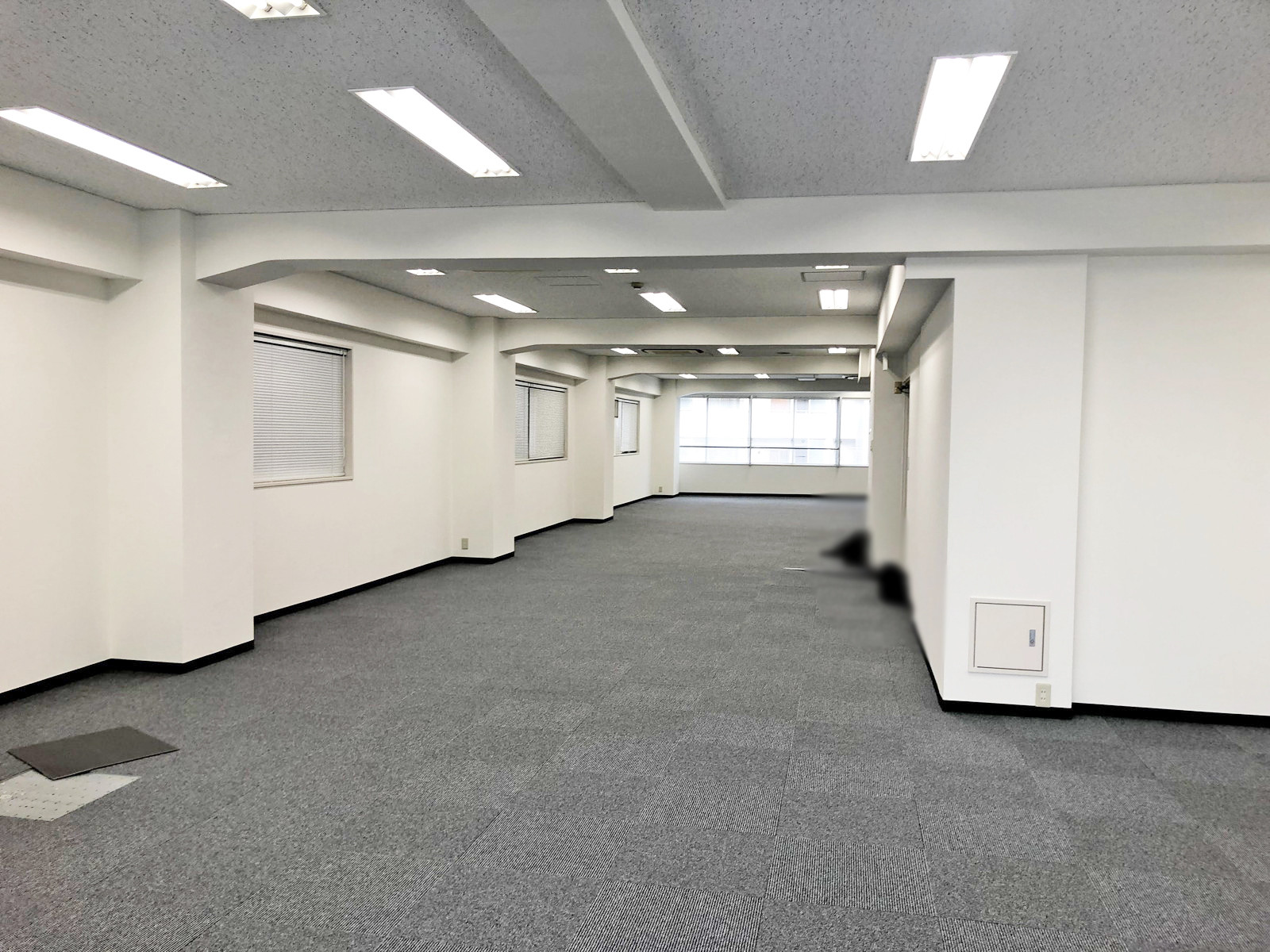 別角度の様子