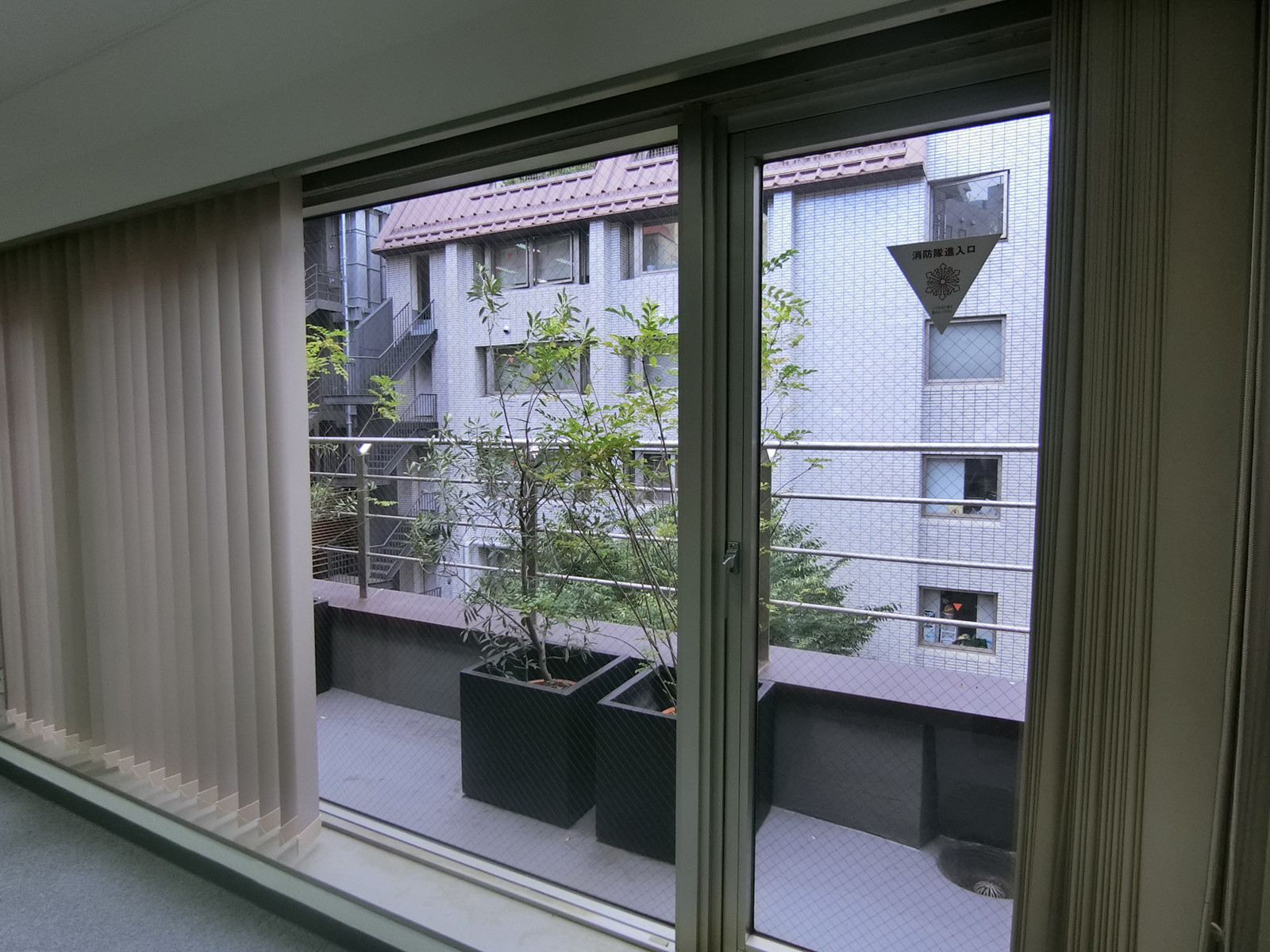 窓面の様子