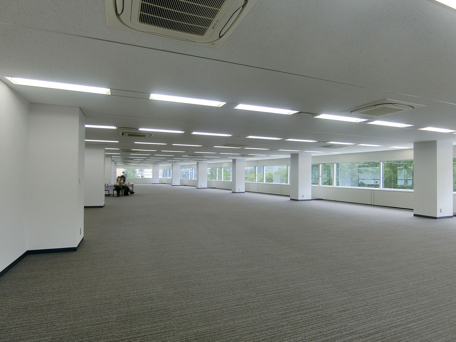 別角度の様子